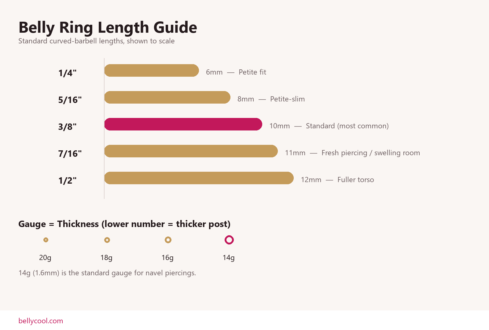 Belly Ring Size Guide: How to Find Your Perfect Gauge and Length