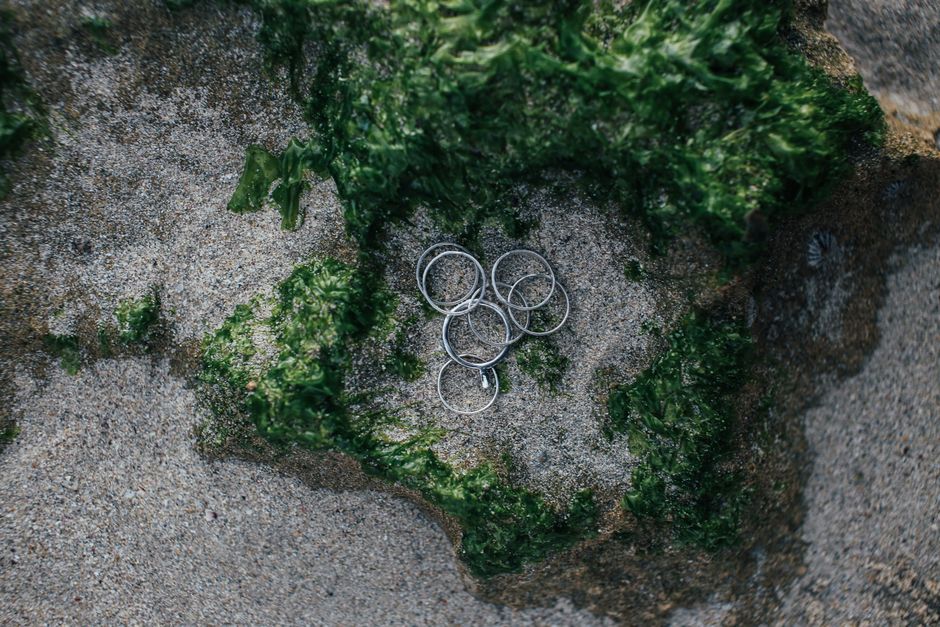 Aerial view of silver rings resting on sand amidst seaweed